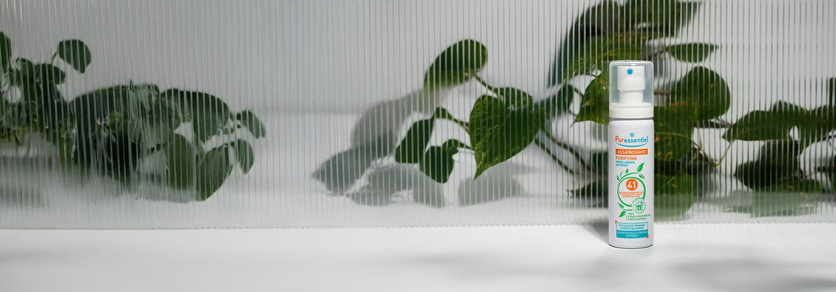 Comment assainir et purifier mon intérieur grâce aux huiles essentielles ?