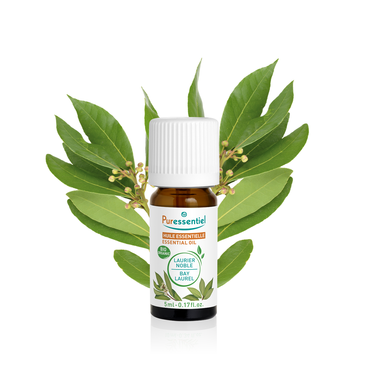 Huile Essentielle Laurier Noble BIO