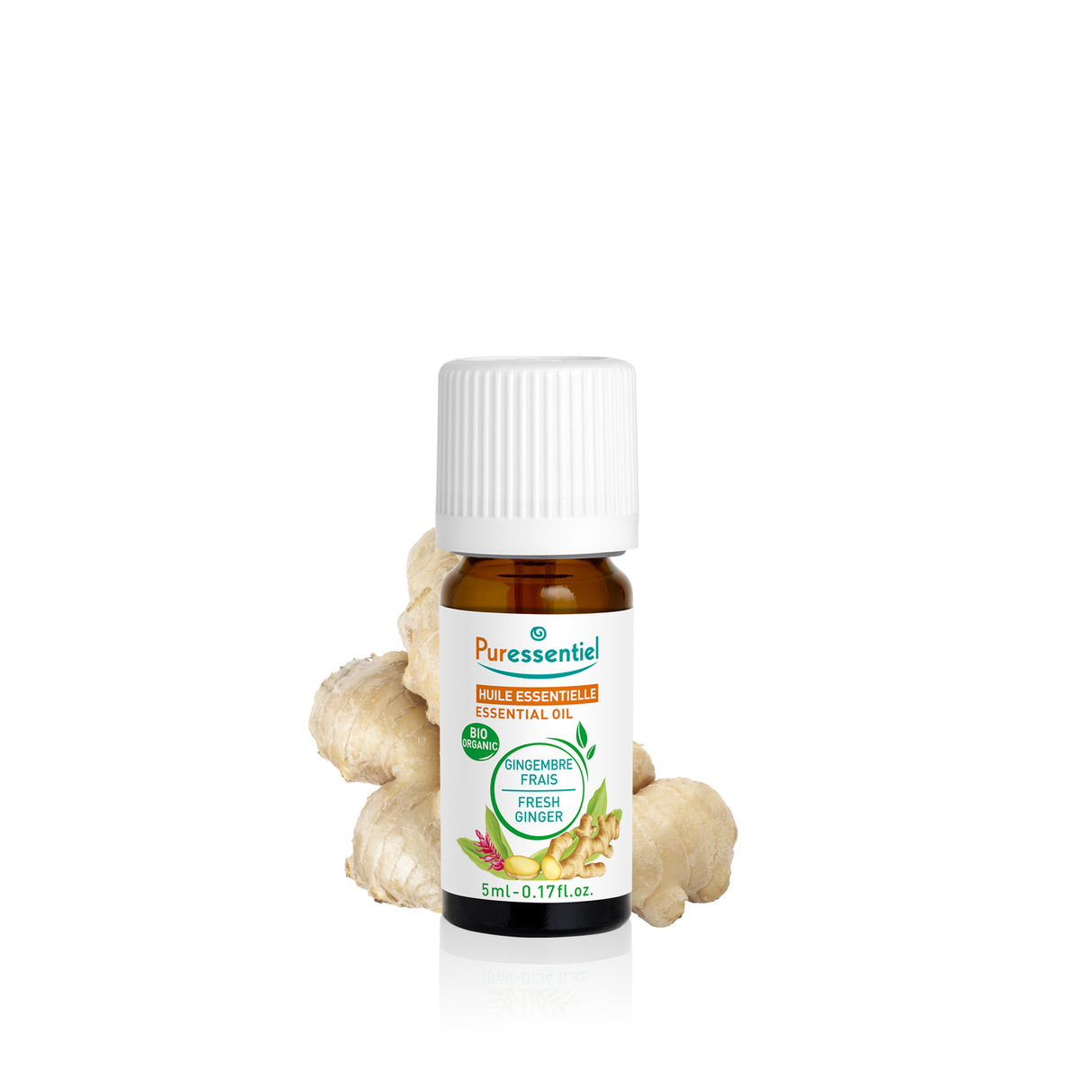 Huile Essentielle Gingembre Frais BIO